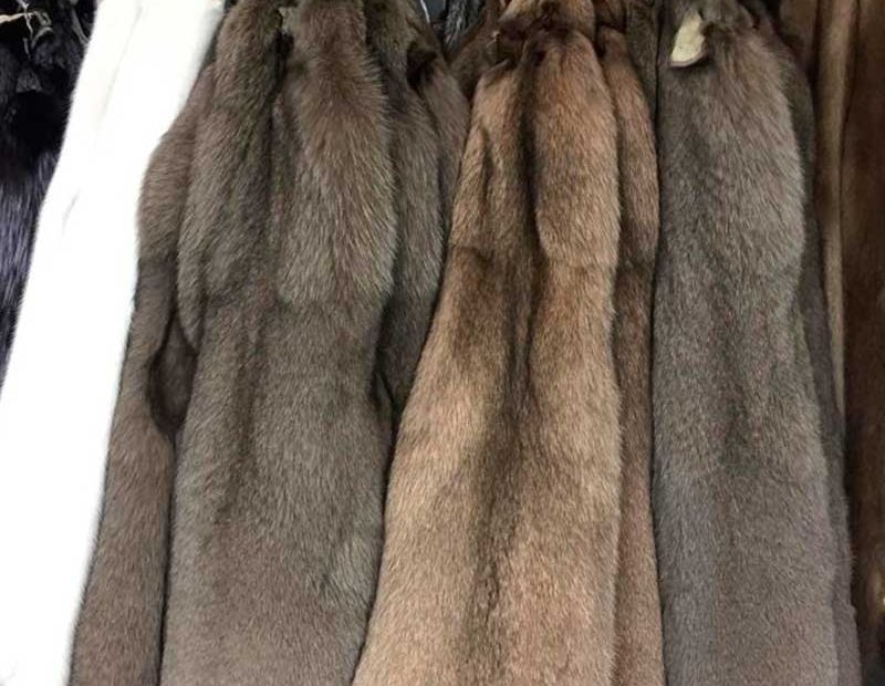 tendencias-de-moda-en-peletería